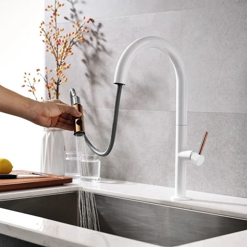 AvaMalis A|M Aquae 304 Stainless Steel Pull down touch sensor Kitchen  faucet