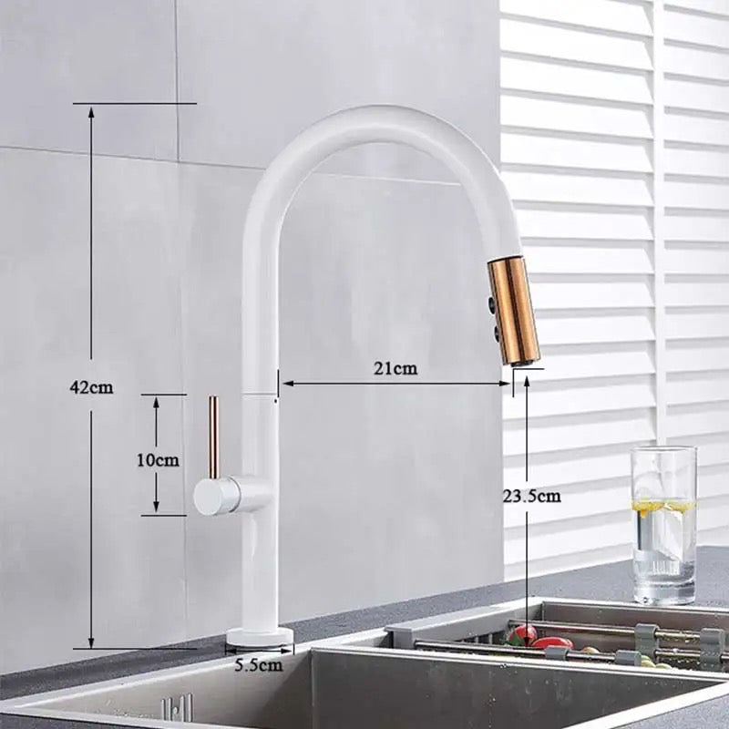 AvaMalis A|M Aquae 304 Stainless Steel Pull down touch sensor Kitchen  faucet